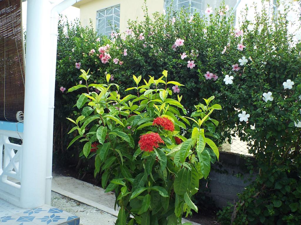Le Paradiso Apartments Bambou Εξωτερικό φωτογραφία