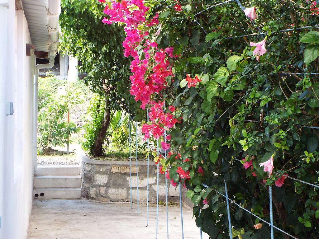 Le Paradiso Apartments Bambou Εξωτερικό φωτογραφία